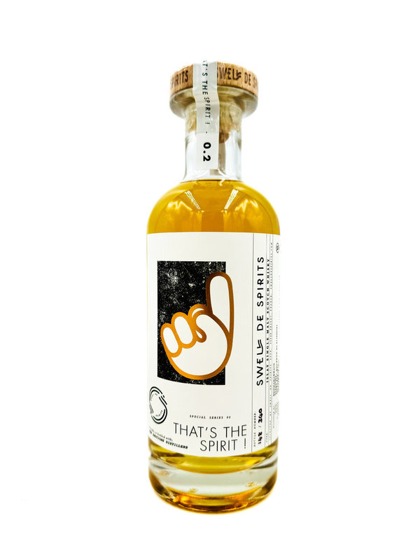 Bunnahabhain Staoisha 2013/2023 - 10 Jahre - First Fill Bourbon - Swell de Spirits (SdS)